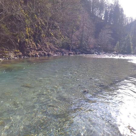 Camping & Glamping Grintovec Preddvor Zewnętrze zdjęcie