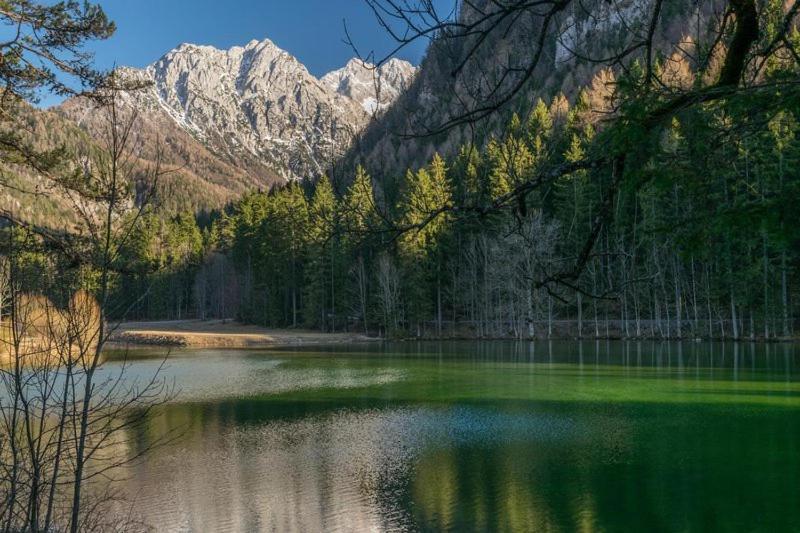 Camping & Glamping Grintovec Preddvor Zewnętrze zdjęcie