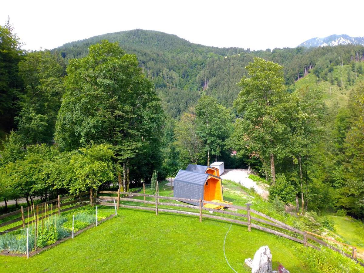 Camping & Glamping Grintovec Preddvor Zewnętrze zdjęcie