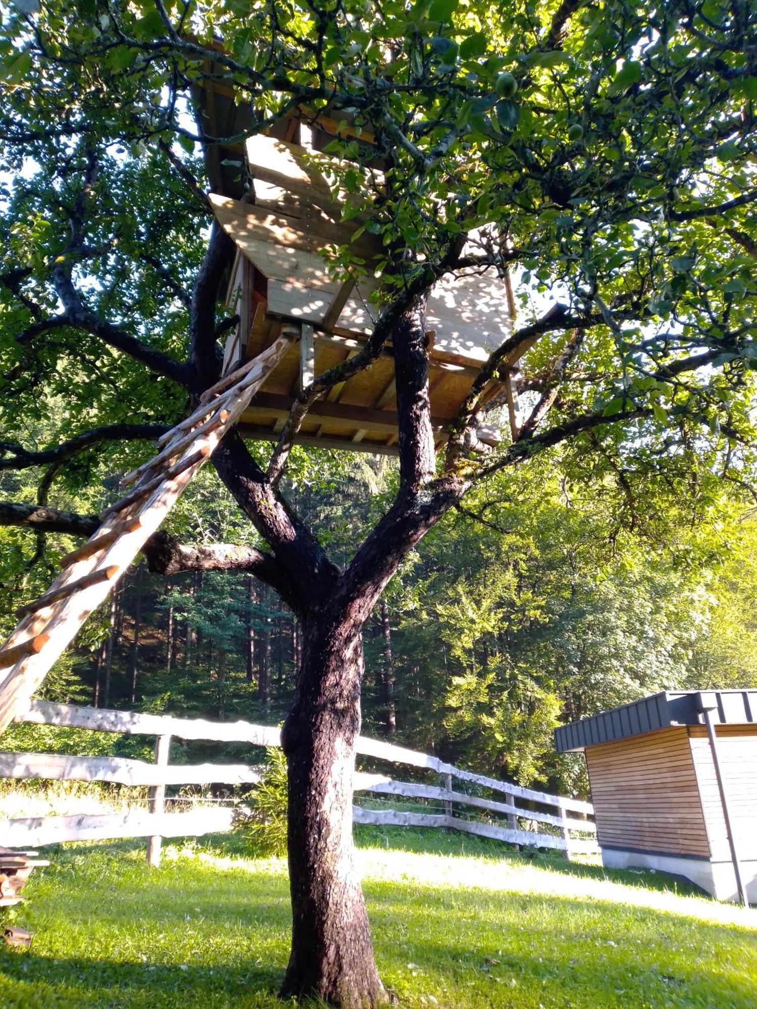 Camping & Glamping Grintovec Preddvor Zewnętrze zdjęcie
