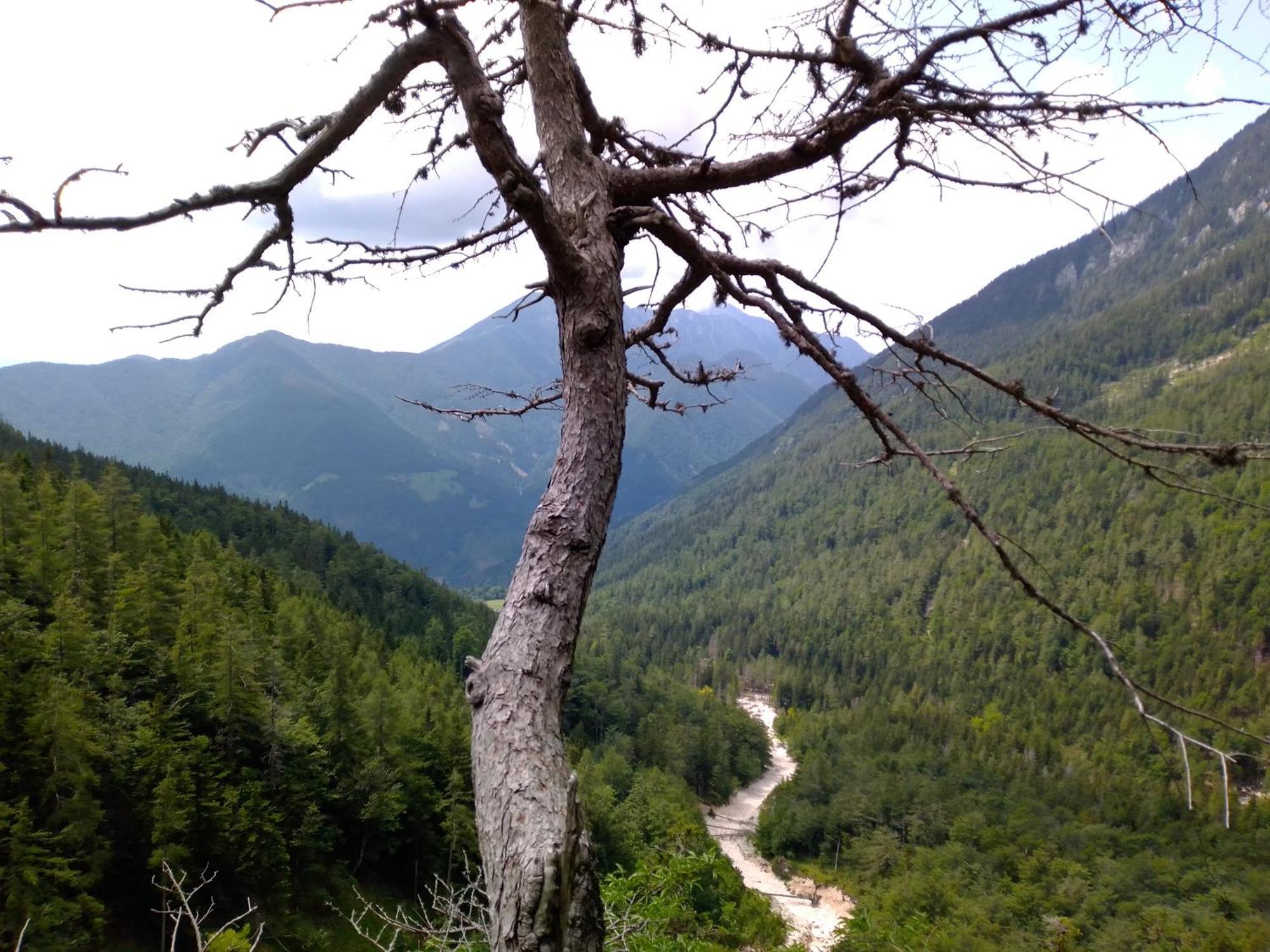 Camping & Glamping Grintovec Preddvor Zewnętrze zdjęcie