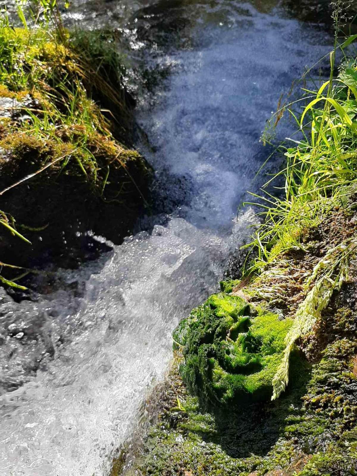 Camping & Glamping Grintovec Preddvor Zewnętrze zdjęcie